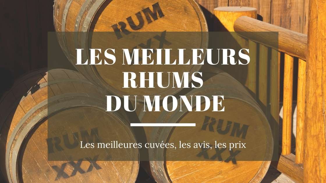You are currently viewing Meilleurs Rhums du Monde en 2023 : Notre Top 10 !