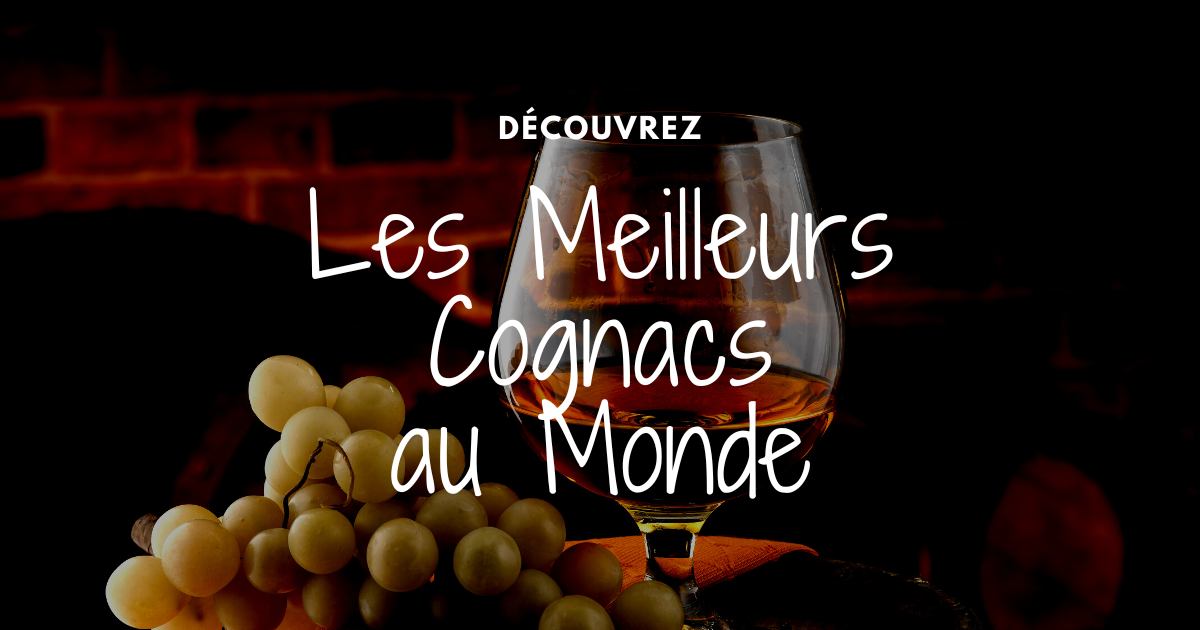 You are currently viewing Les secrets des cognacs d’exception : une sélection des meilleurs au monde