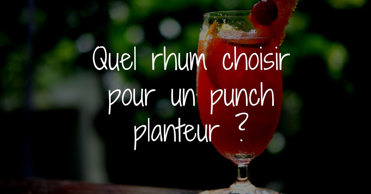 You are currently viewing Rhum & Punch Planteur : La Quintessence des Saveurs Antillaises
<span class="bsf-rt-reading-time"><span class="bsf-rt-display-label" prefix="Reading time :"></span> <span class="bsf-rt-display-time" reading_time="4"></span> <span class="bsf-rt-display-postfix" postfix="min"></span></span><!-- .bsf-rt-reading-time -->